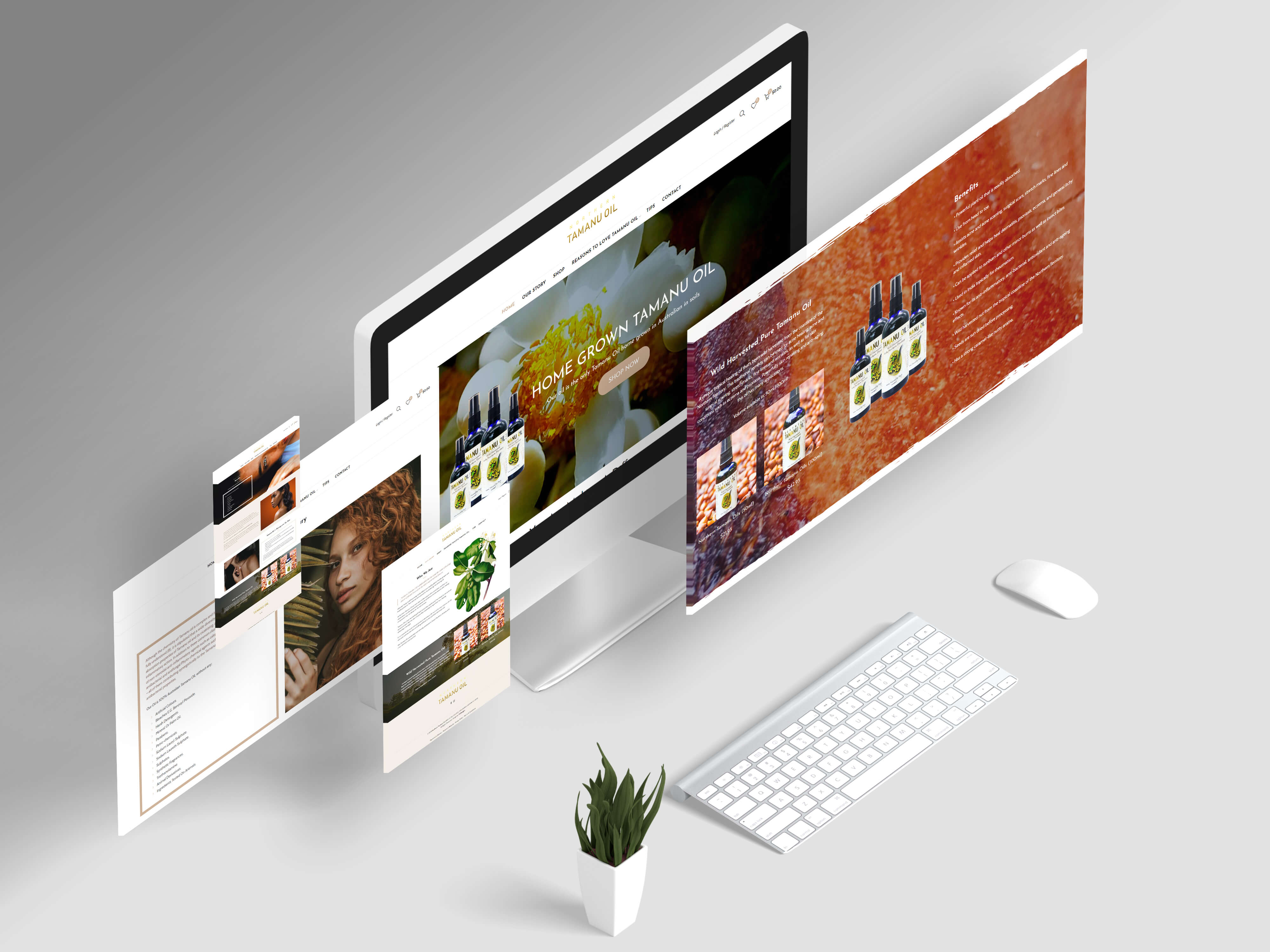 Web dizajn